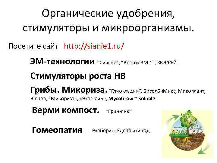 Органические удобрения, стимуляторы и микроорганизмы. Посетите сайт http: //sianie 1. ru/ ЭМ-технологии. “Сияние”, “Восток