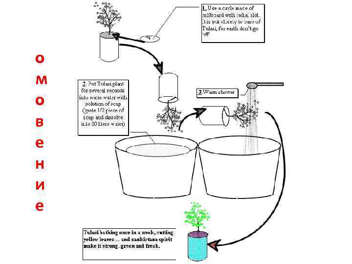 о м о в е н и е 