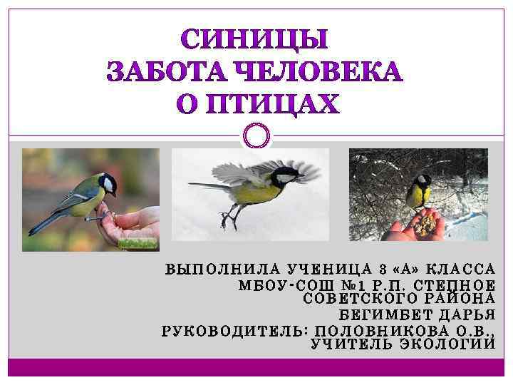 ВЫПОЛНИЛА УЧЕНИЦА 3 «А» КЛАССА МБОУ-СОШ № 1 Р. П. СТЕПНОЕ СОВЕТСКОГО РАЙОНА БЕГИМБЕТ