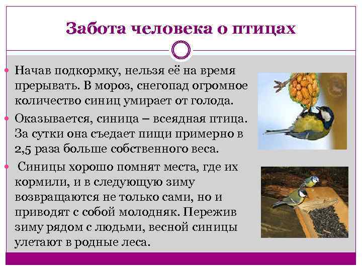 Забота человека о птицах Начав подкормку, нельзя её на время прерывать. В мороз, снегопад