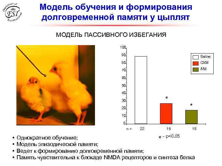 Модель обучения и формирования долговременной памяти у цыплят МОДЕЛЬ ПАССИВНОГО ИЗБЕГАНИЯ 100 90 Saline