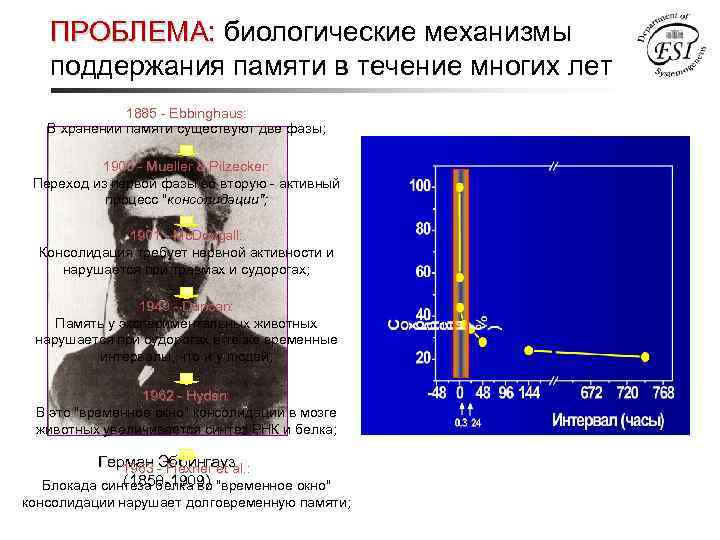 ПРОБЛЕМА: биологические механизмы поддержания памяти в течение многих лет 1885 - Еbbinghaus: В хранении