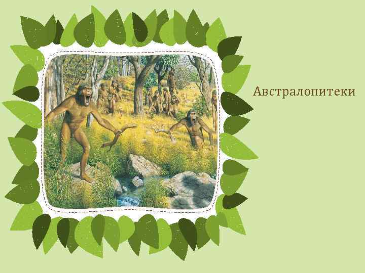 Австралопитеки 