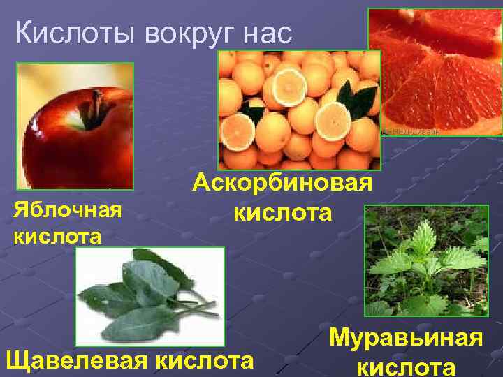 Кислоты вокруг нас Яблочная кислота Аскорбиновая кислота Щавелевая кислота Муравьиная кислота 