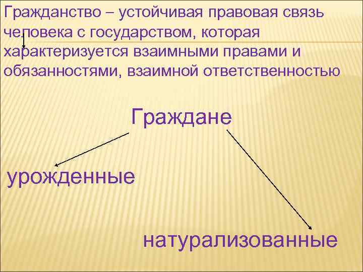 Институт гражданства план