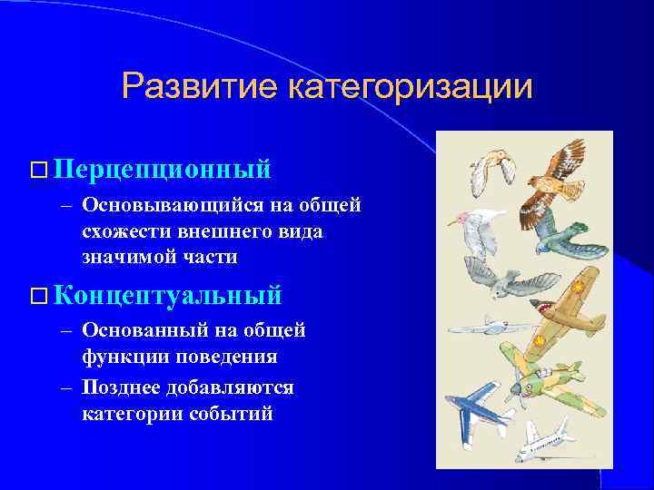Развитие категоризации Перцепционный – Основывающийся на общей схожести внешнего вида значимой части Концептуальный –