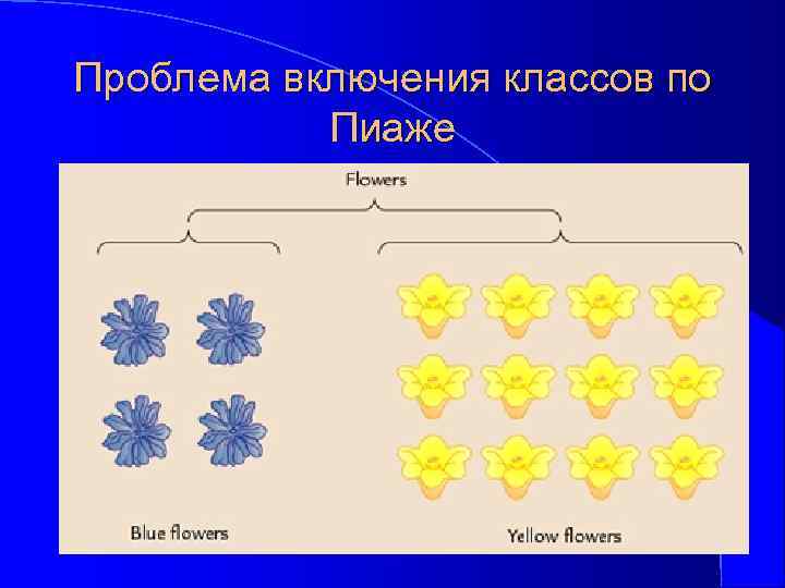 Проблема включения классов по Пиаже 