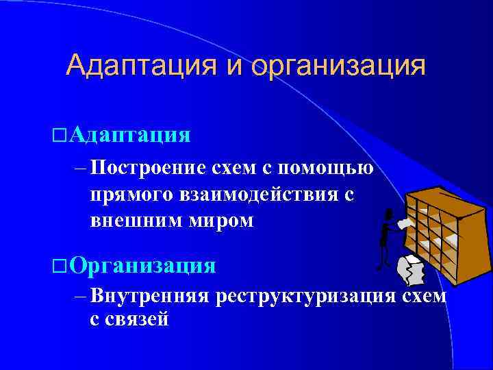 Адаптация и организация Адаптация – Построение схем с помощью прямого взаимодействия с внешним миром