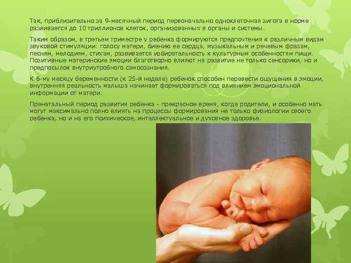 Так, приблизительно за 9 -месячный период первоначально одноклеточная зигота в норме развивается до 10