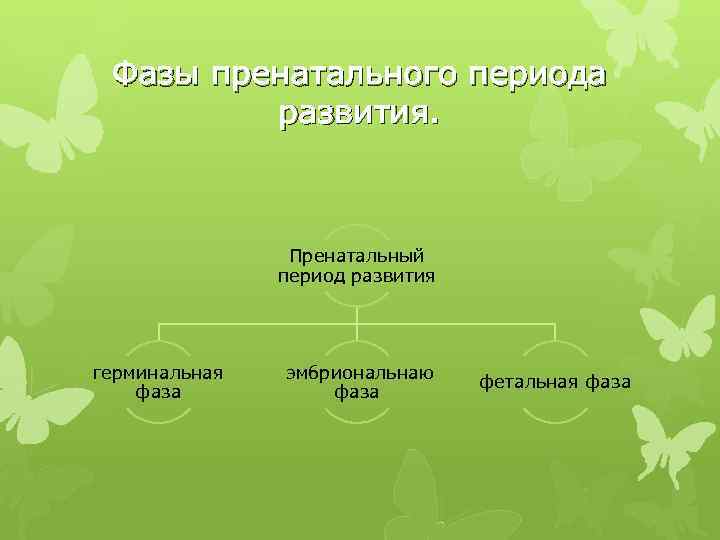 Фазы пренатального периода развития. Пренатальный период развития герминальная фаза эмбриональнаю фаза фетальная фаза 
