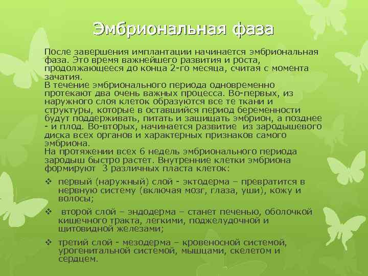 Эмбриональная фаза После завершения имплантации начинается эмбриональная фаза. Это время важнейшего развития и роста,