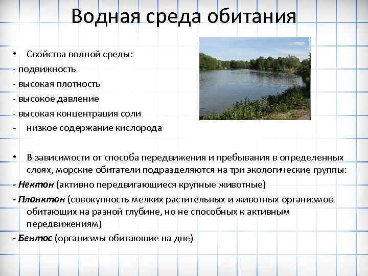 Водная среда обитания • Свойства водной среды: - подвижность - высокая плотность - высокое