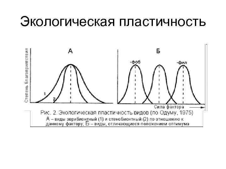 Экологическая пластичность 