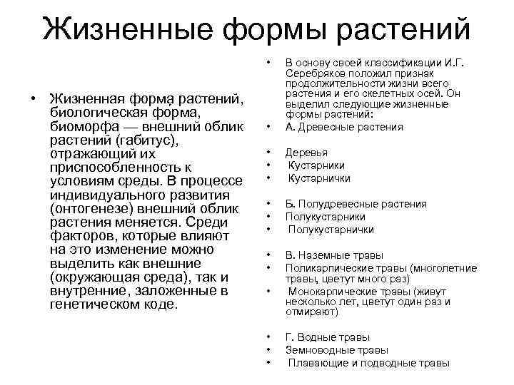 Жизненные формы растений • • Жизненная форма растений, биологическая фо рма, биоморфа — внешний