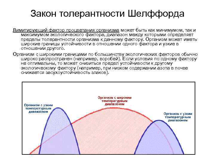 Закон толерантности Шелффорда Лимитирующий фактор процветания организма может быть как минимумом, так и максимумом