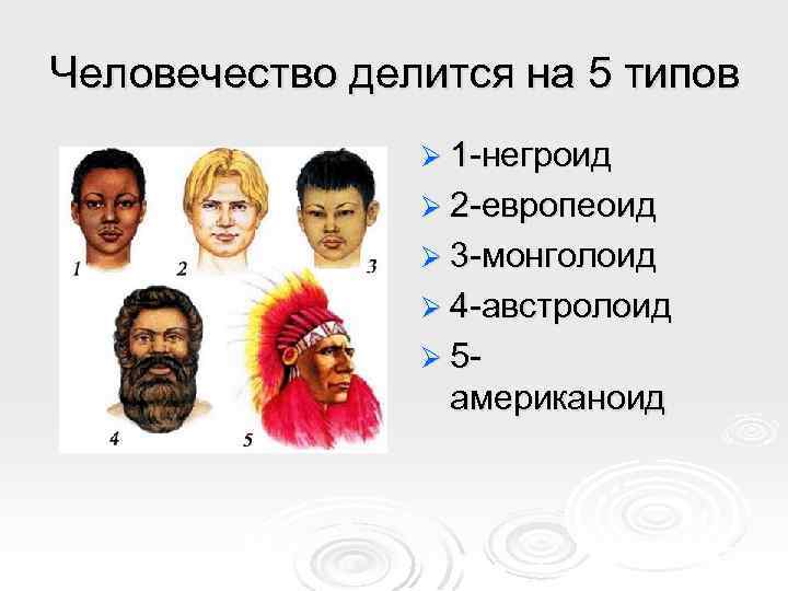 Человеческая раса европеоидная. Раса человечества Европеоид монголоид. Европеоидная монголоидная негроидная раса. Люди европеоидной и монголоидной расы. Расы Европеоиды , негроиды ,монголоиды.