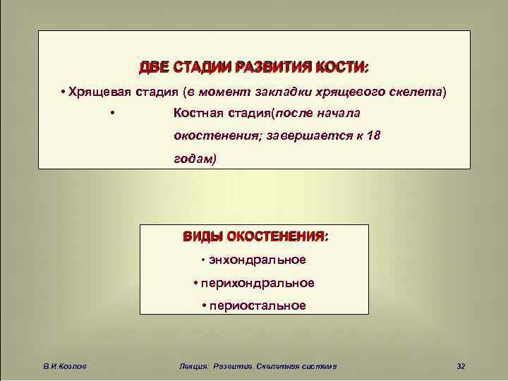 ДВЕ СТАДИИ РАЗВИТИЯ КОСТИ: • Хрящевая стадия (в момент закладки хрящевого скелета) • Костная