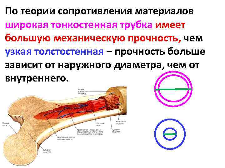 По теории сопротивления материалов широкая тонкостенная трубка имеет большую механическую прочность, чем узкая толстостенная