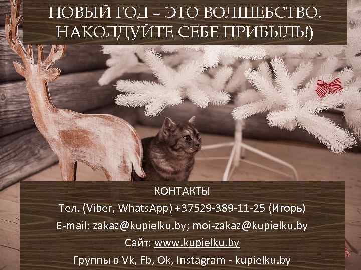 НОВЫЙ ГОД – ЭТО ВОЛШЕБСТВО. НАКОЛДУЙТЕ СЕБЕ ПРИБЫЛЬ!) КОНТАКТЫ Тел. (Viber, Whats. App) +37529