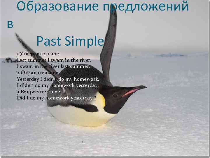в Образование предложений Past Simple 1. Утвердительное. Last summer I swam in the river