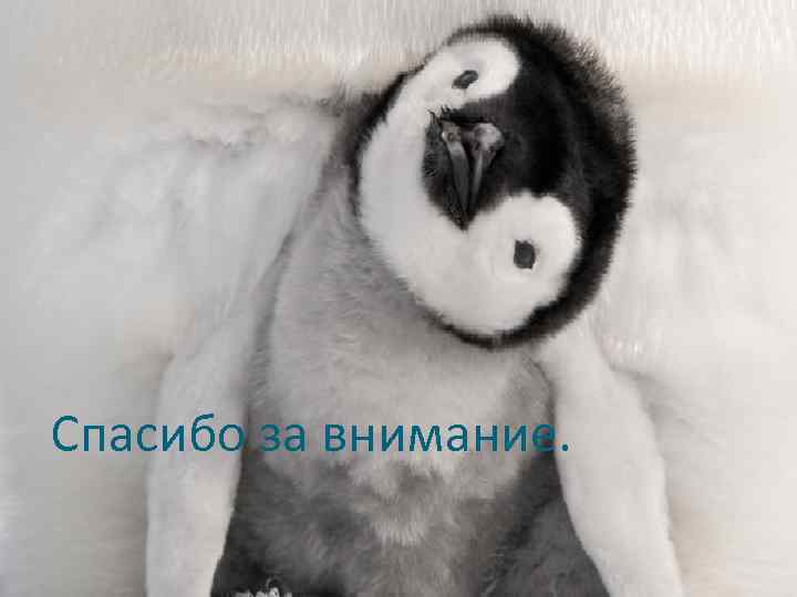 Спасибо за внимание. 