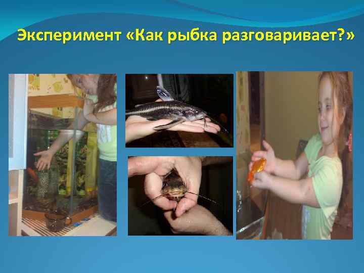 Эксперимент «Как рыбка разговаривает? » 