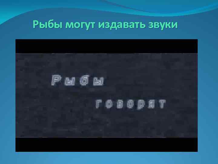 Рыбы могут издавать звуки 