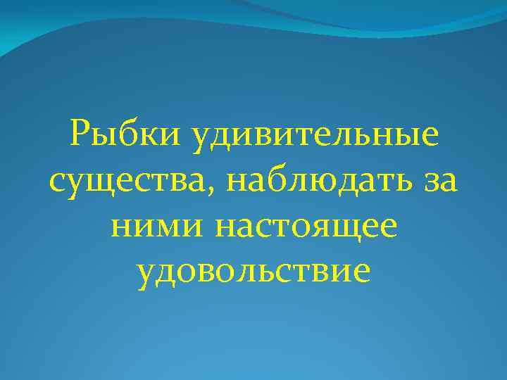 Рыбки удивительные существа, наблюдать за ними настоящее удовольствие 