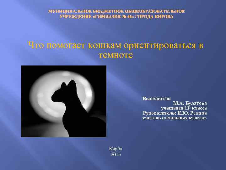 МУНИЦИПАЛЬНОЕ БЮДЖЕТНОЕ ОБЩЕОБРАЗОВАТЕЛЬНОЕ УЧРЕЖДЕНИЕ «ГИМНАЗИЯ № 46» ГОРОДА КИРОВА Что помогает кошкам ориентироваться в