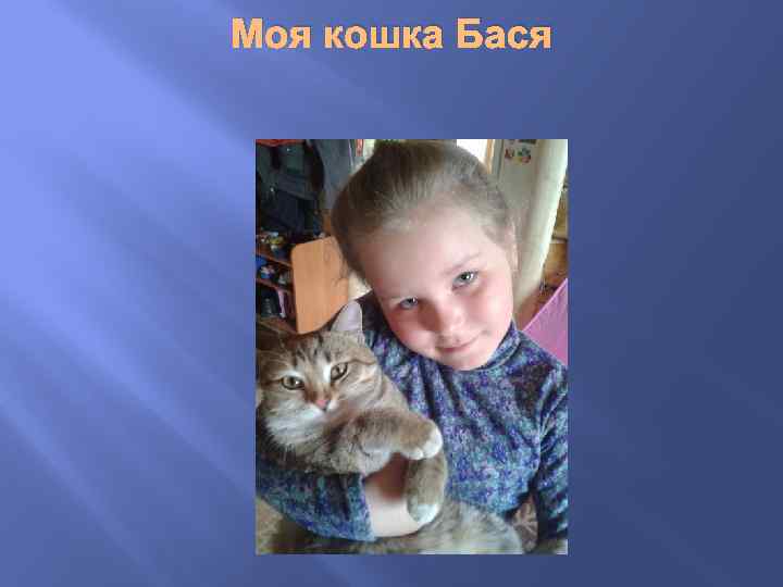 Моя кошка Бася 