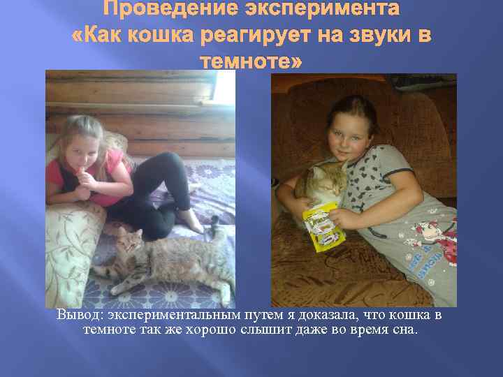 Проведение эксперимента «Как кошка реагирует на звуки в темноте» Вывод: экспериментальным путем я доказала,