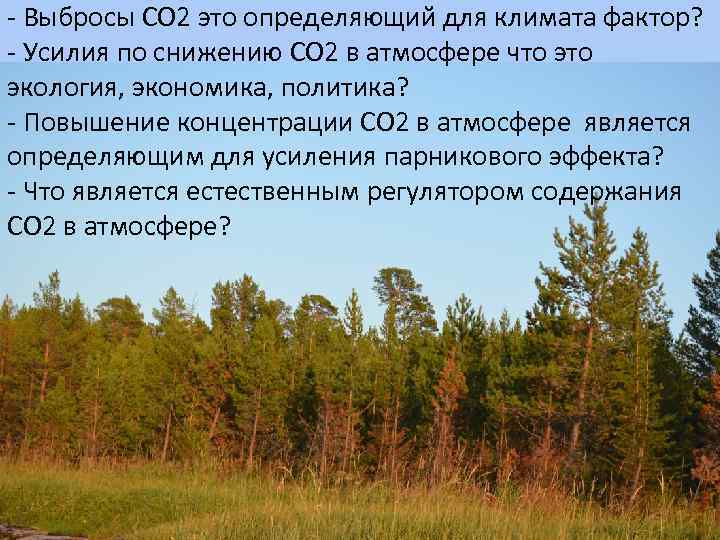 - Выбросы СО 2 это определяющий для климата фактор? - Усилия по снижению СО