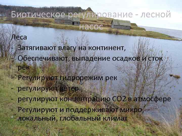 Биотическое регулирование - лесной насос Леса - Затягивают влагу на континент, - Обеспечивают, выпадение