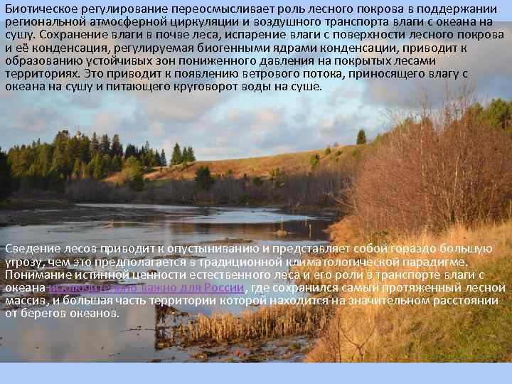 Биотическое регулирование переосмысливает роль лесного покрова в поддержании региональной атмосферной циркуляции и воздушного транспорта
