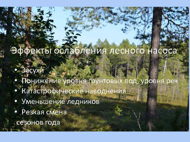 Эффекты ослабления лесного насоса • Засухи • Понижение уровня грунтовых вод, уровня рек •