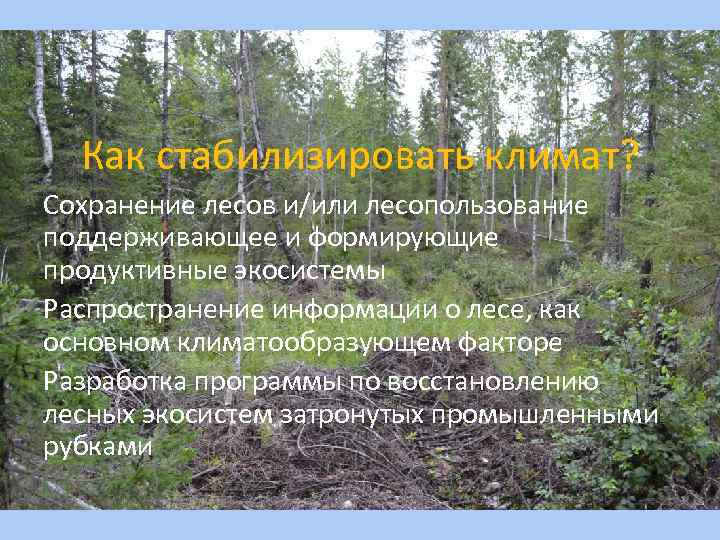 Как стабилизировать климат? Сохранение лесов и/или лесопользование поддерживающее и формирующие продуктивные экосистемы Распространение информации