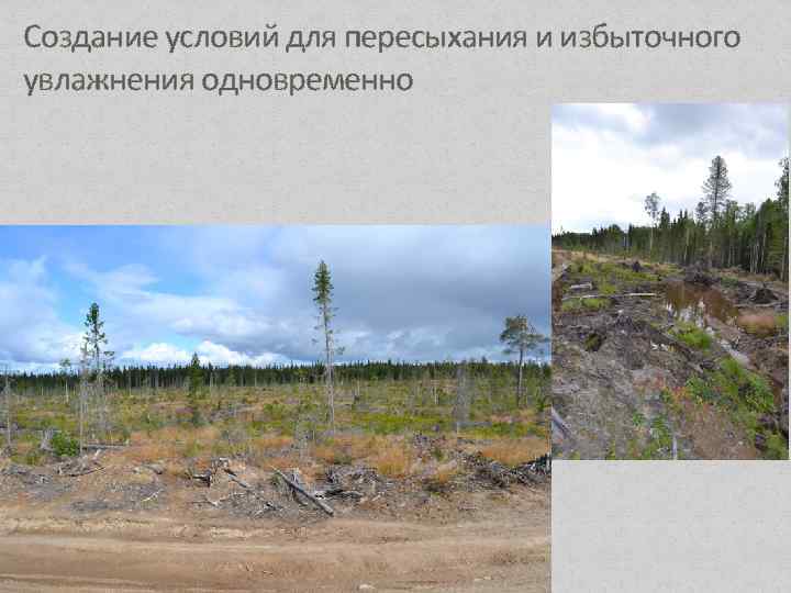 Создание условий для пересыхания и избыточного увлажнения одновременно 