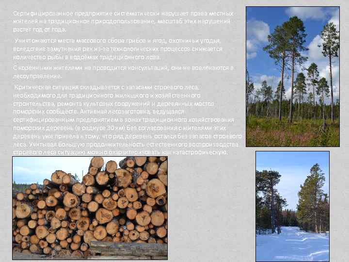 Сертифицированное предприятие систематически нарушает права местных жителей на традиционное природопользование, масштаб этих нарушений растет