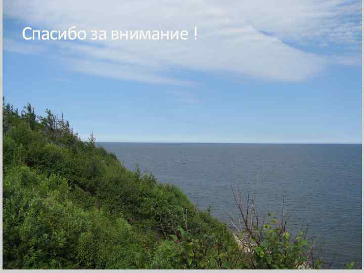 Спасибо за внимание ! 