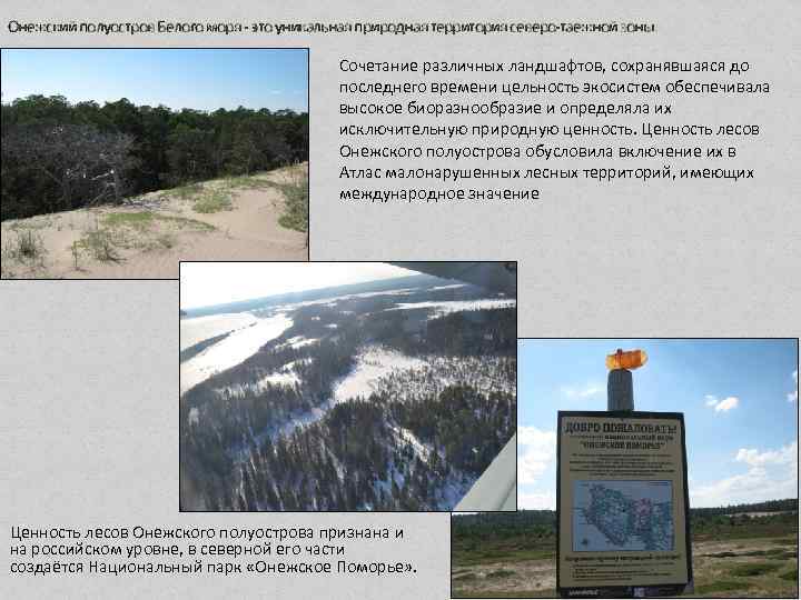 Онежский полуостров Белого моря - это уникальная природная территория северо-таежной зоны. Сочетание различных ландшафтов,