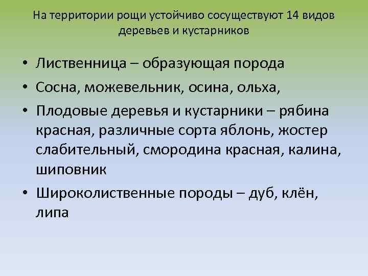 На территории рощи устойчиво сосуществуют 14 видов деревьев и кустарников • Лиственница – образующая