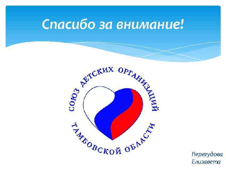 Спасибо за внимание! Перегудова Елизавета 