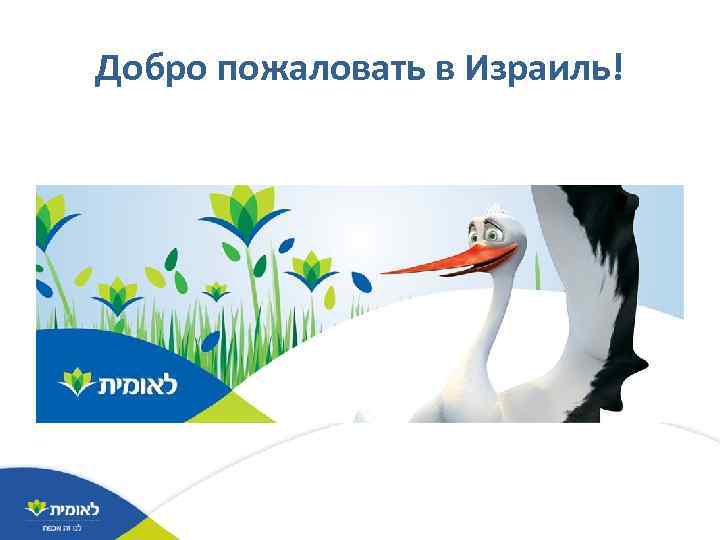 Добро пожаловать в Израиль! 