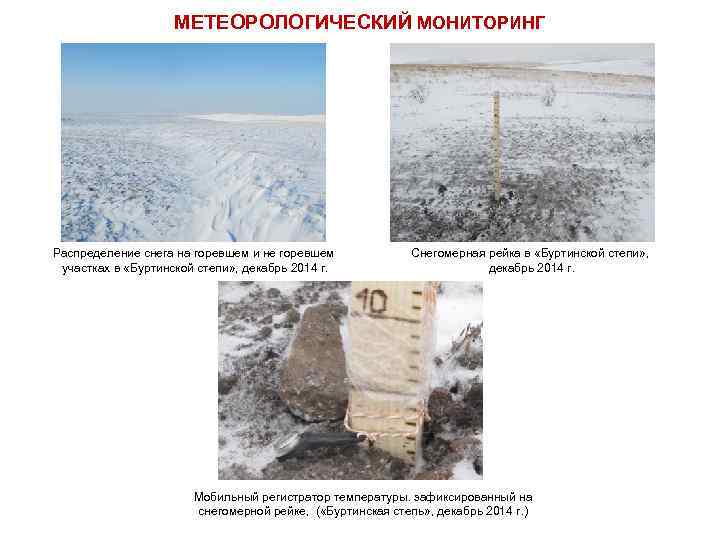 МЕТЕОРОЛОГИЧЕСКИЙ МОНИТОРИНГ Распределение снега на горевшем и не горевшем участках в «Буртинской степи» ,
