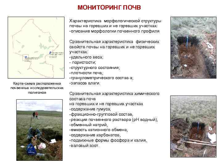 МОНИТОРИНГ ПОЧВ Характеристика морфологической структуры почвы на горевших и не горевших участках: -описание морфологии