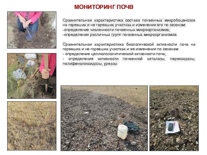 МОНИТОРИНГ ПОЧВ Сравнительная характеристика состава почвенных микробоценозов на горевших и не горевших участках и