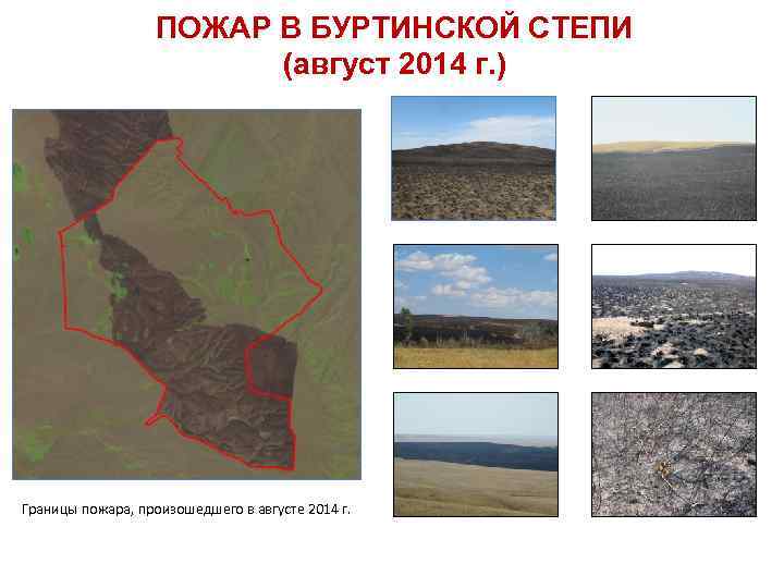 ПОЖАР В БУРТИНСКОЙ СТЕПИ (август 2014 г. ) Границы пожара, произошедшего в августе 2014