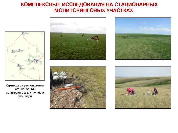 КОМПЛЕКСНЫЕ ИССЛЕДОВАНИЯ НА СТАЦИОНАРНЫХ МОНИТОРИНГОВЫХ УЧАСТКАХ Карта-схема расположения стационарных мониторинговых участков и площадей 