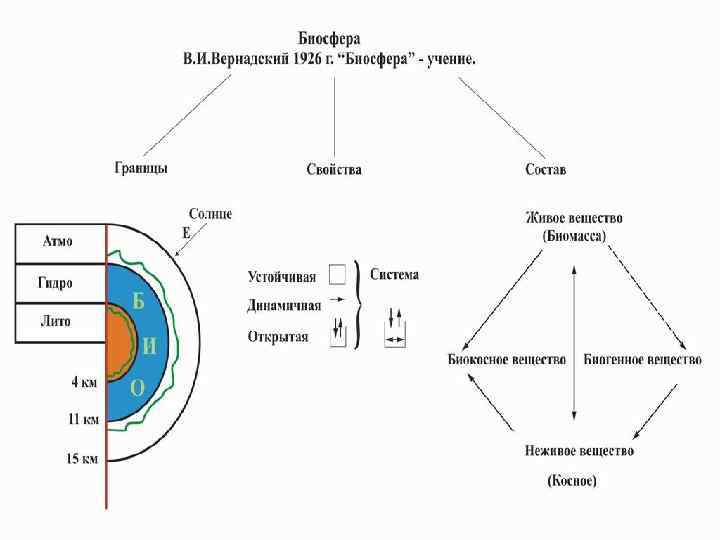 Развитие представлений о биосфере проект