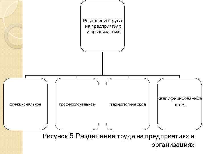 Виды разделяют на